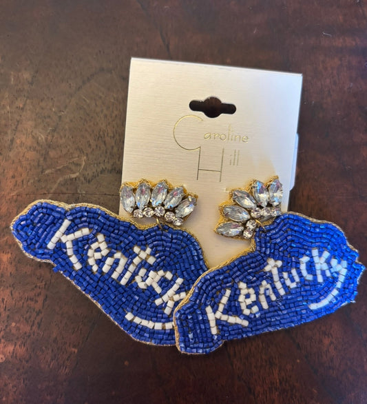 #156 reduced! New Kentucky State Seed bead earrings
