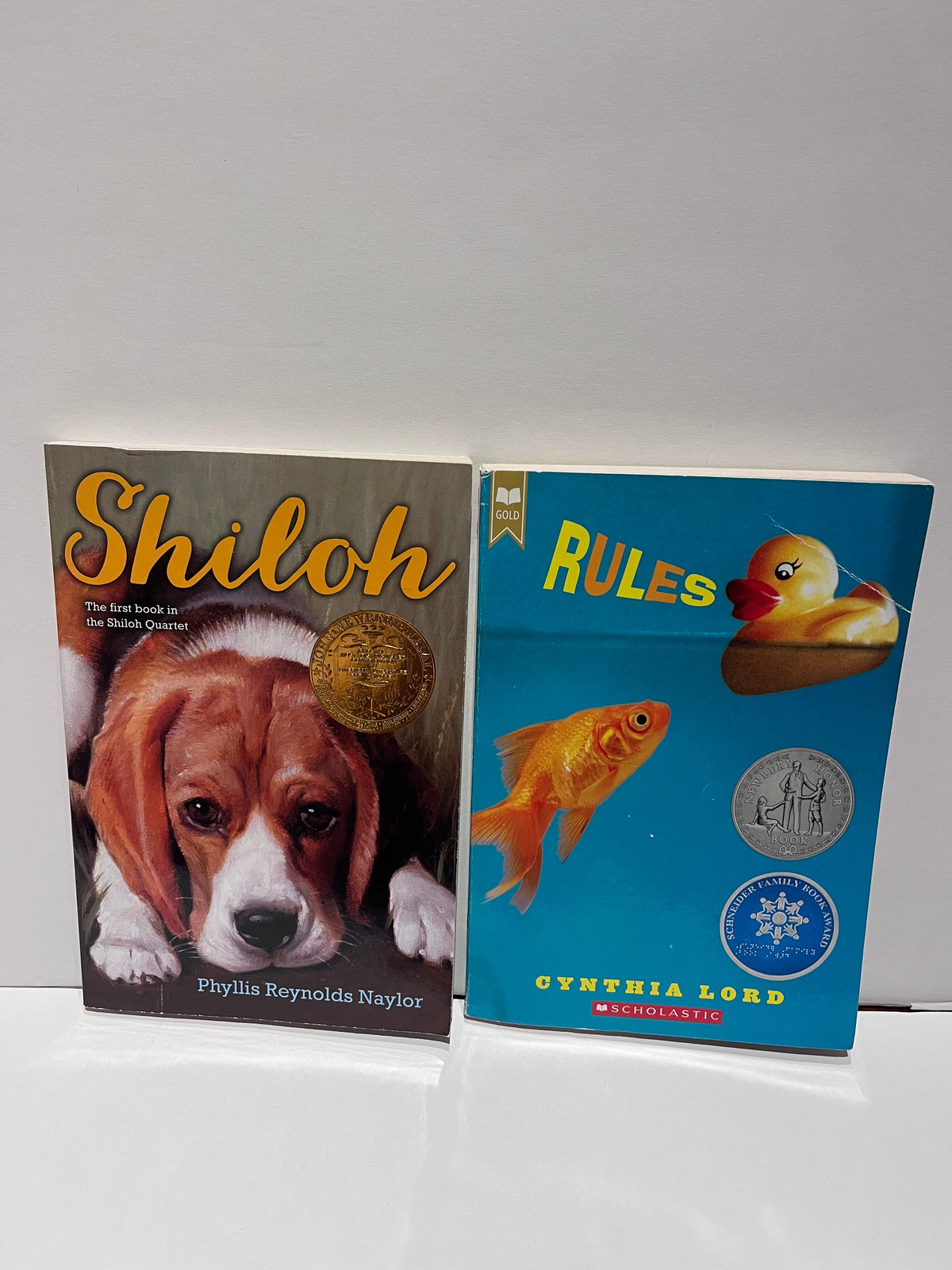 #125 Chapter books ages 8-12