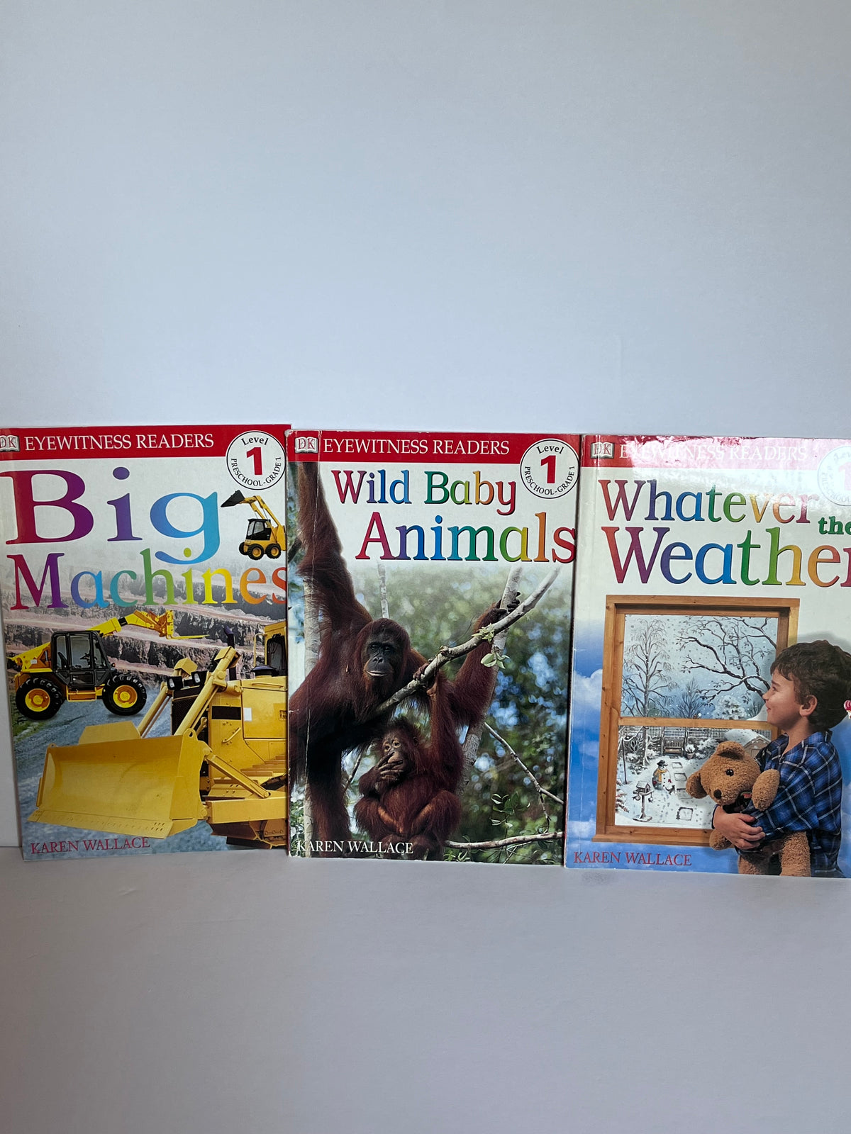 #125 Level 1 book bundle