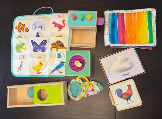 Seller #65 Lovevery infant/toddler lot