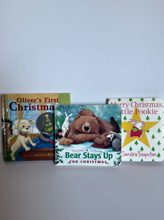 #125 Christmas board book bundle