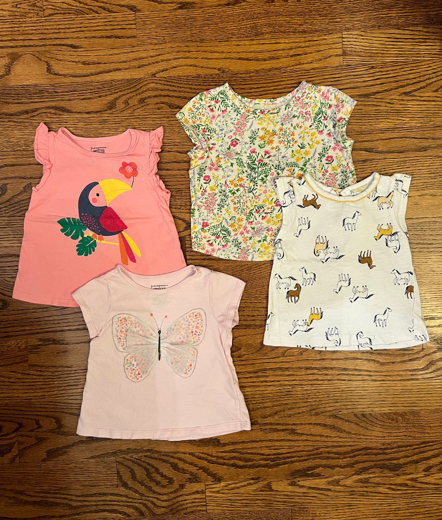 Old Navy / Carters / First Impressions Baby Girl 24M T-Shirt Bundle, Set of 4