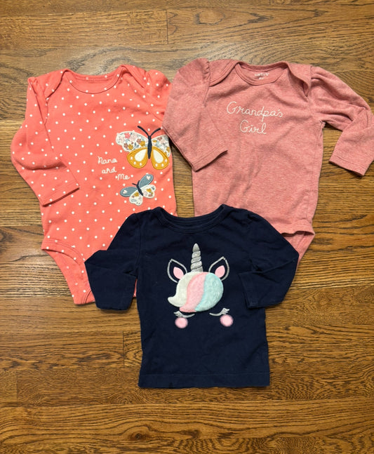 Seller #195 - *REDUCED* Bundle of 3 Carter’s Girl Shirts / Bodysuits - Size 6 Months