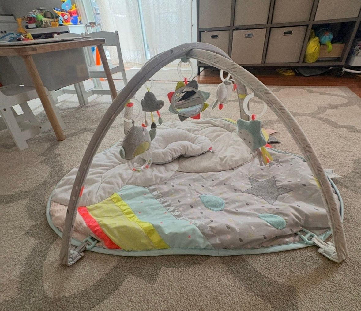 Seller #196 Skip Hop Baby Activity Play Gym