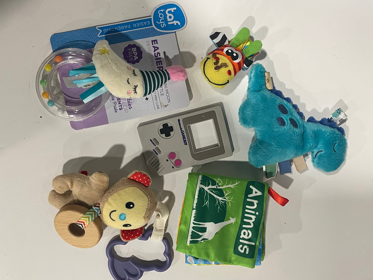 #83 Taggie, Rattles, Teething Toys and Soft book