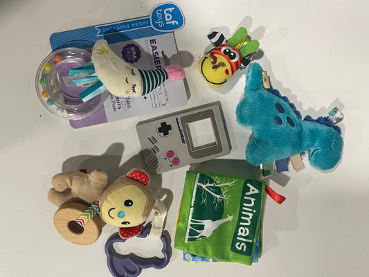#83 Taggie, Rattles, Teething Toys and Soft book