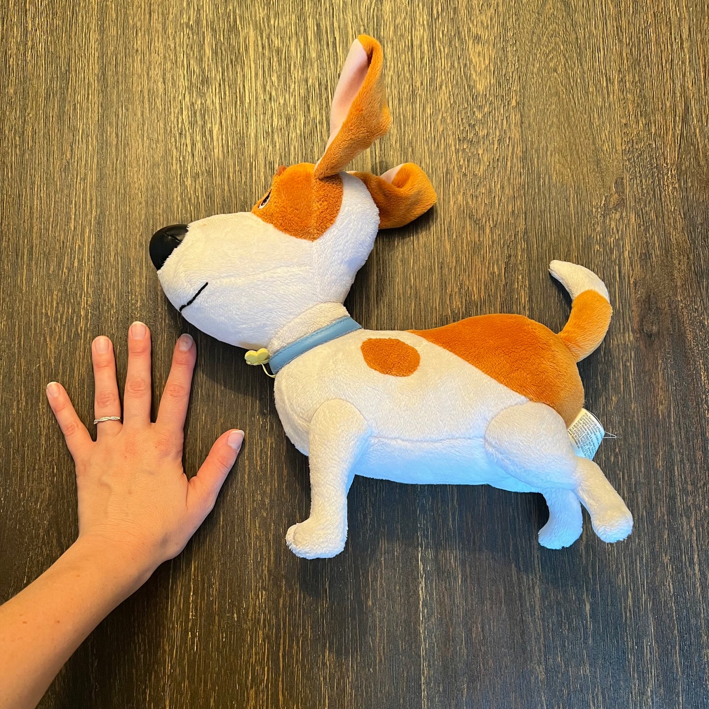 #5 The Secret Life of Pets, Max Stuffed Animal