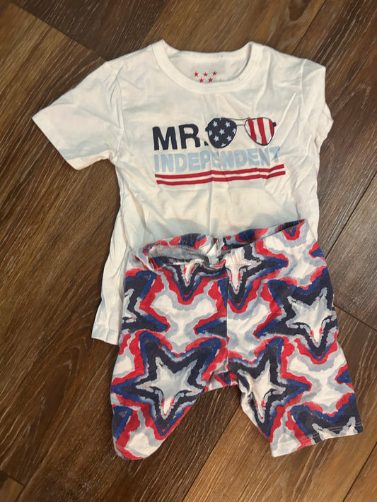 Seller #223 - Mr. Independent outfit