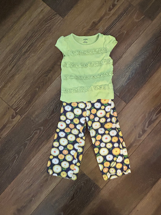 Seller #223 - Girls 2T outfit