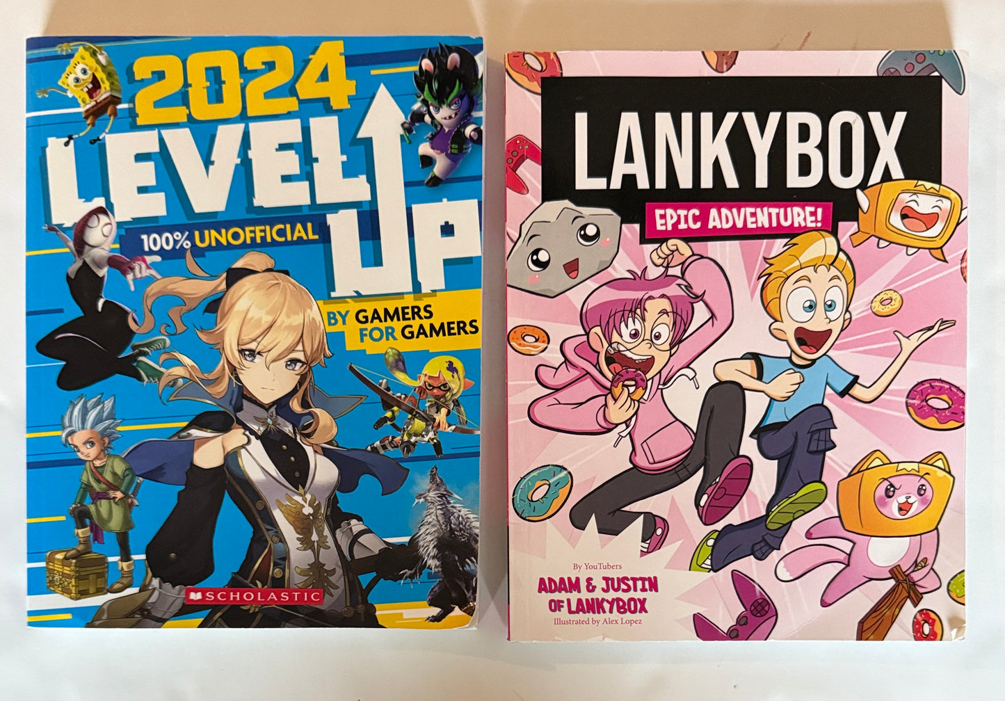 Seller #90_Used Very Good_2024 Video Game Books set of 2