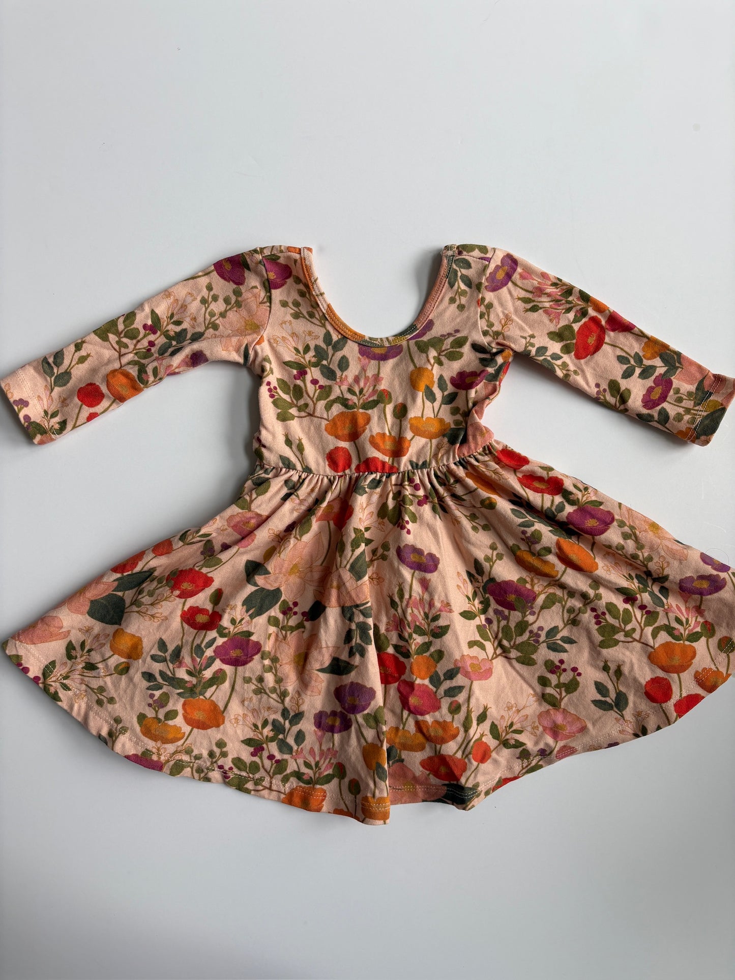 Seller #105 - 2T Girls Alice and Ames Light Botanical Floral Dress VGUC