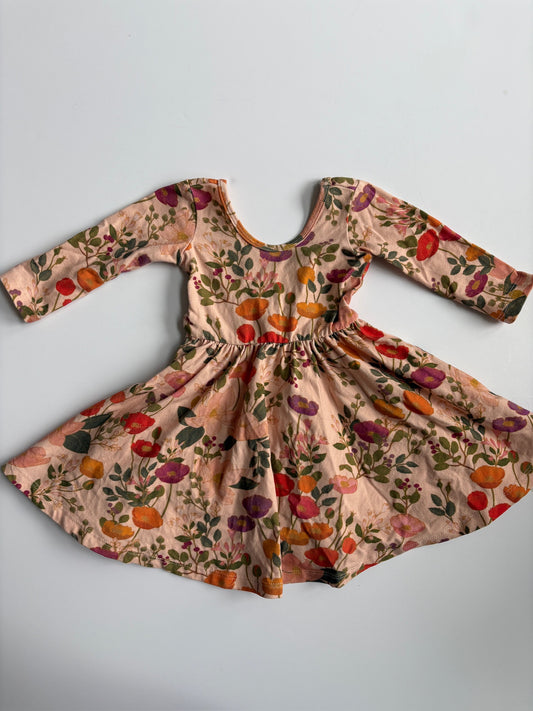 Seller #105 - 2T Girls Alice and Ames Light Botanical Floral Dress VGUC