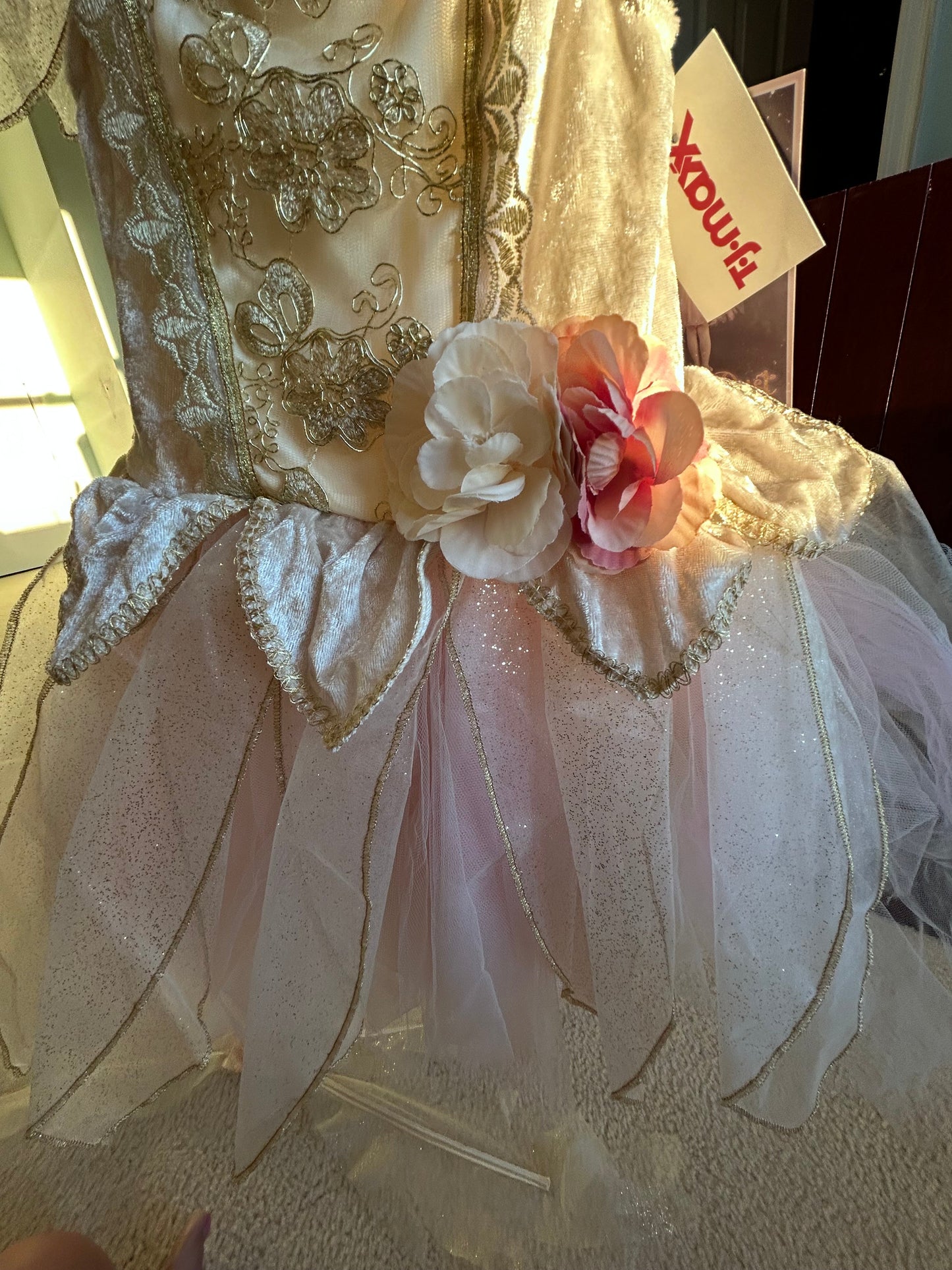 Seller #7 Fairy Dust 4T dress and wings