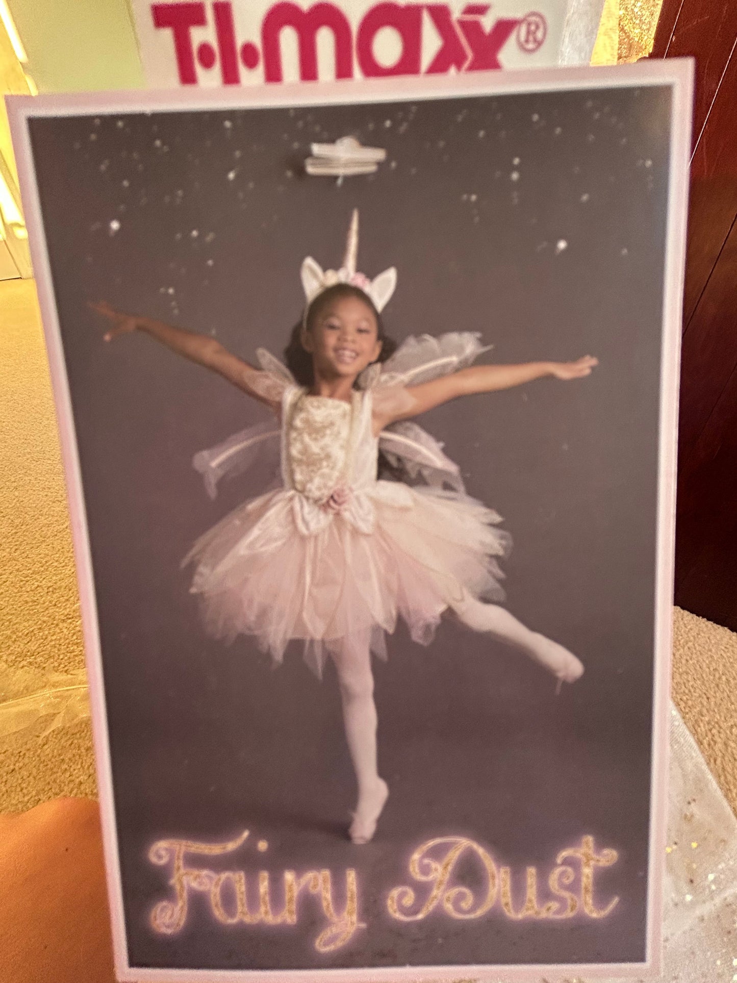 Seller #7 Fairy Dust 4T dress and wings