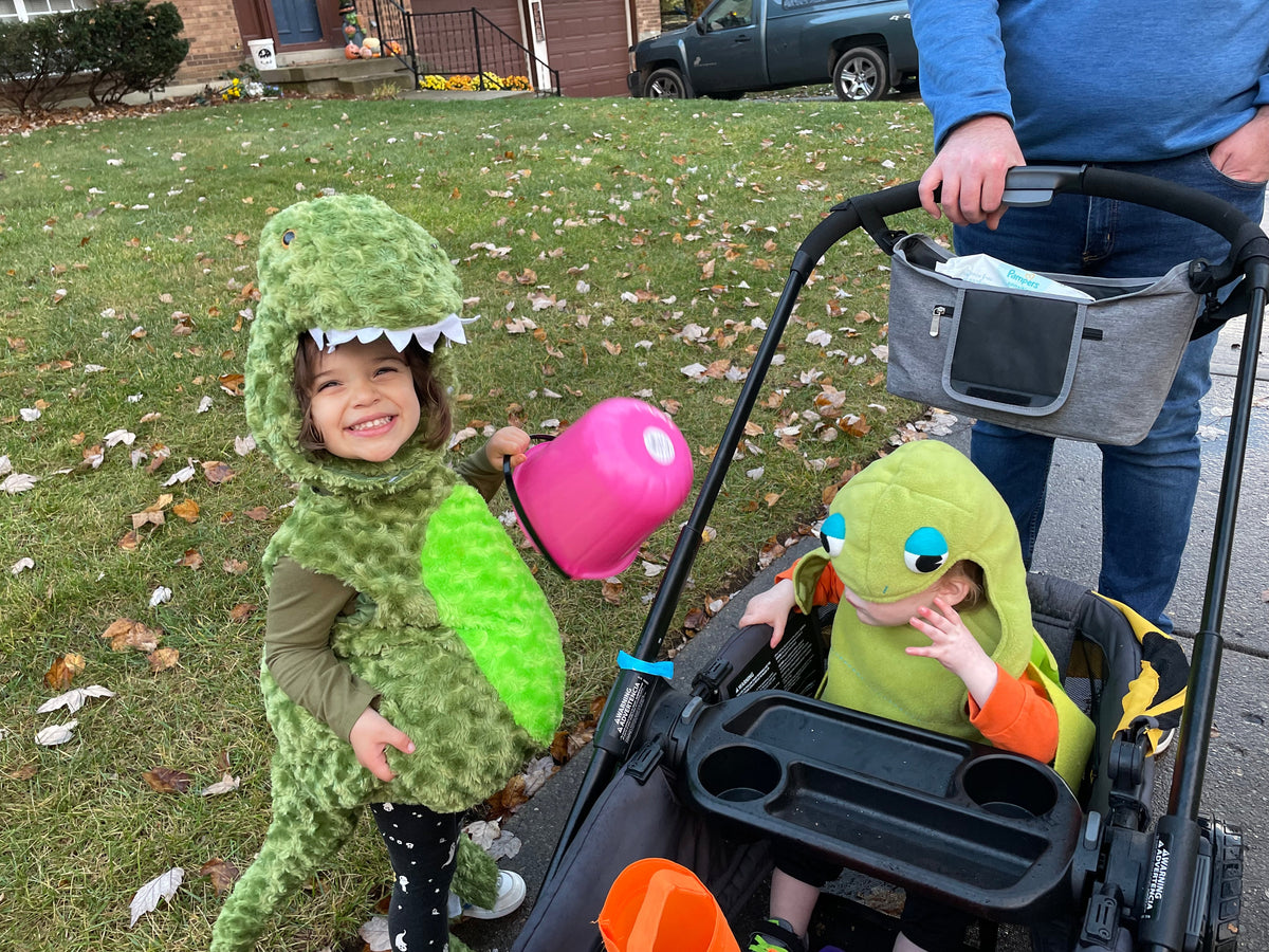 #48 Dino Costume 2t-4t
