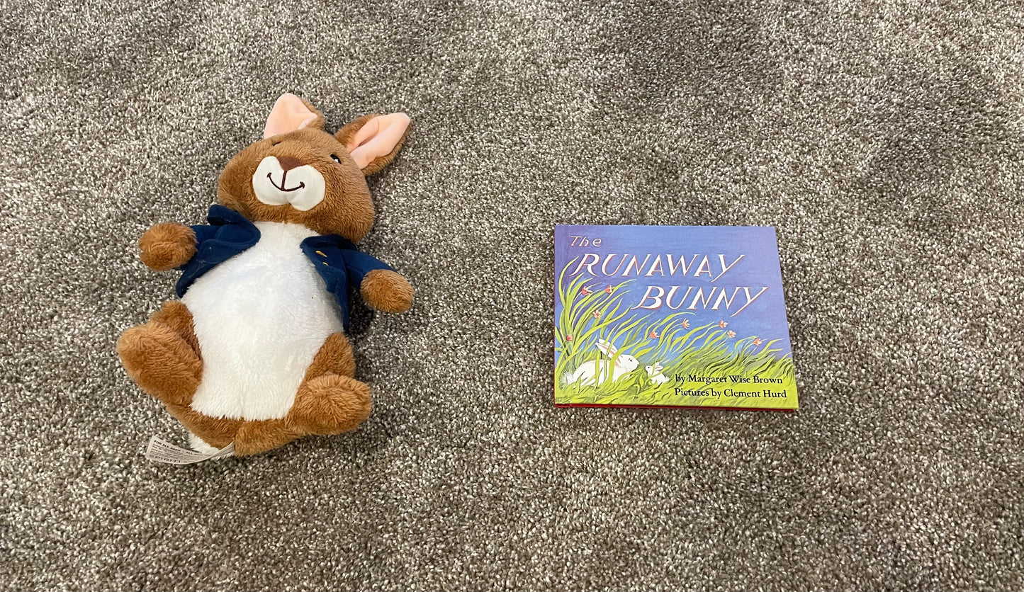 Easter book and toy bunny