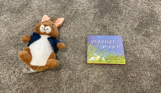 Easter book and toy bunny