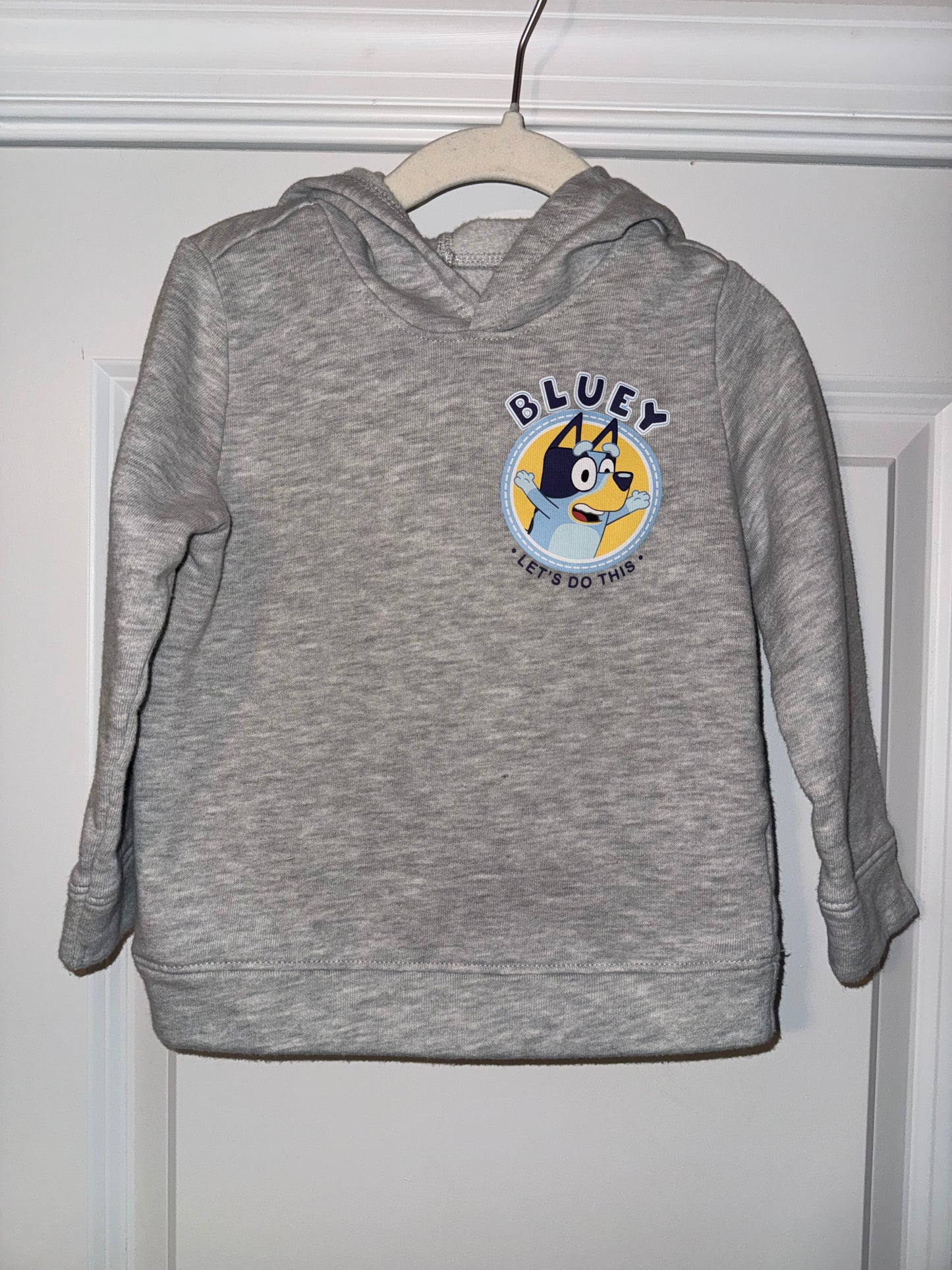 #106: 3T Bluey Hoodie (Font & Back)