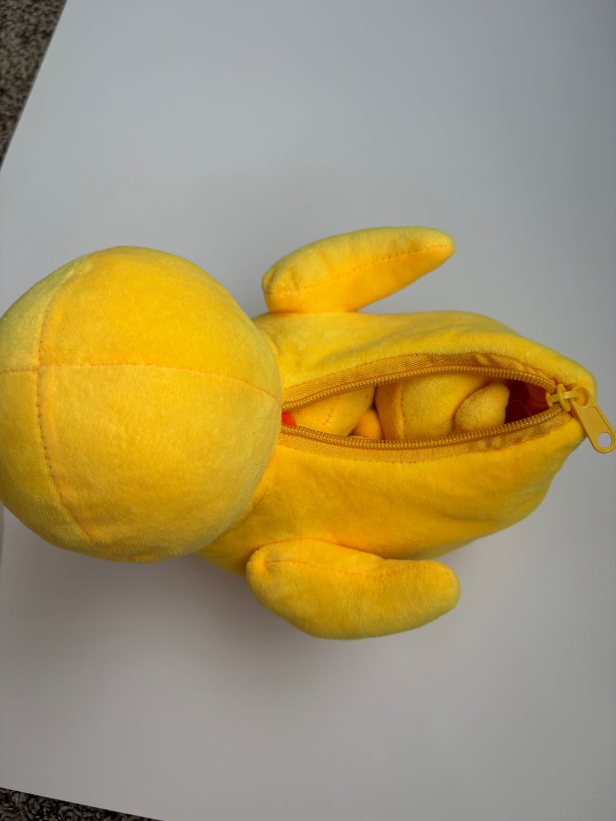 Seller #177 Duck with 5 baby ducks