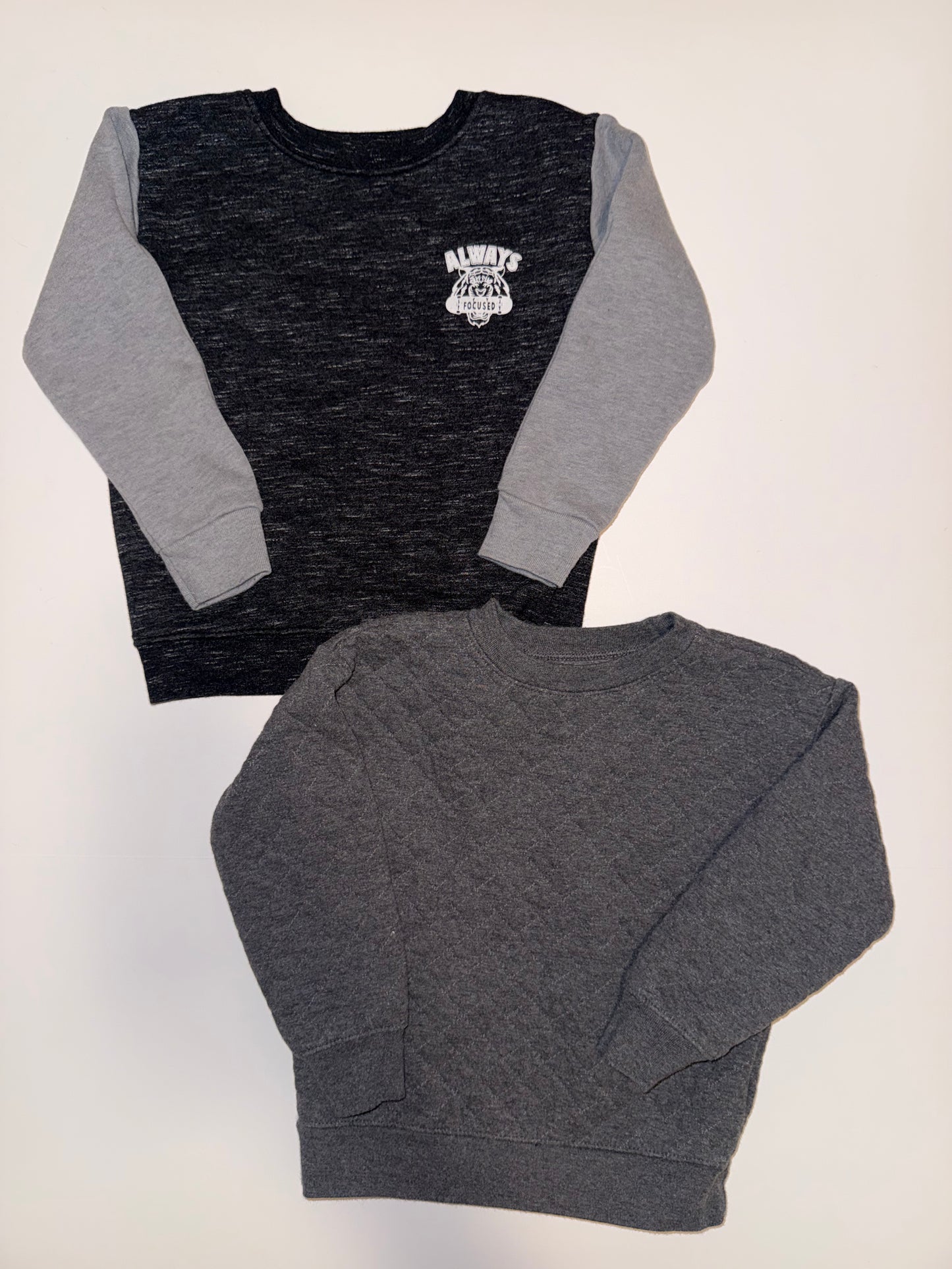 #106: 3T Garanimals Sweatshirts (2)