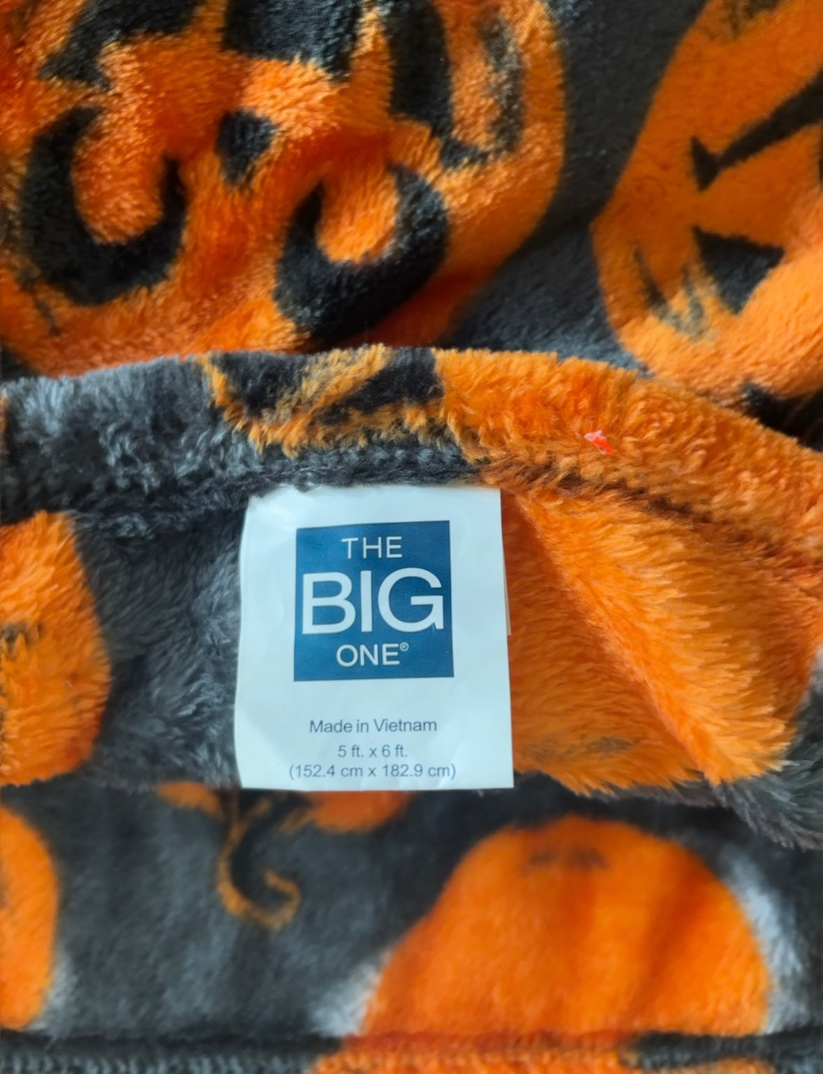 #156 The Big One fall Halloween throw blanket