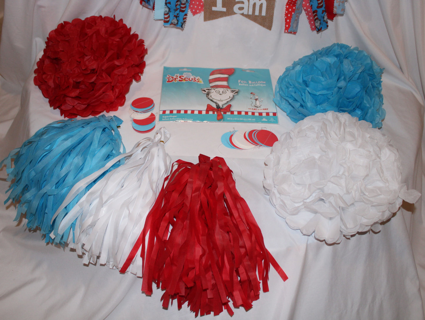 #126 Cat in the Hat 1st Birthday Bundle