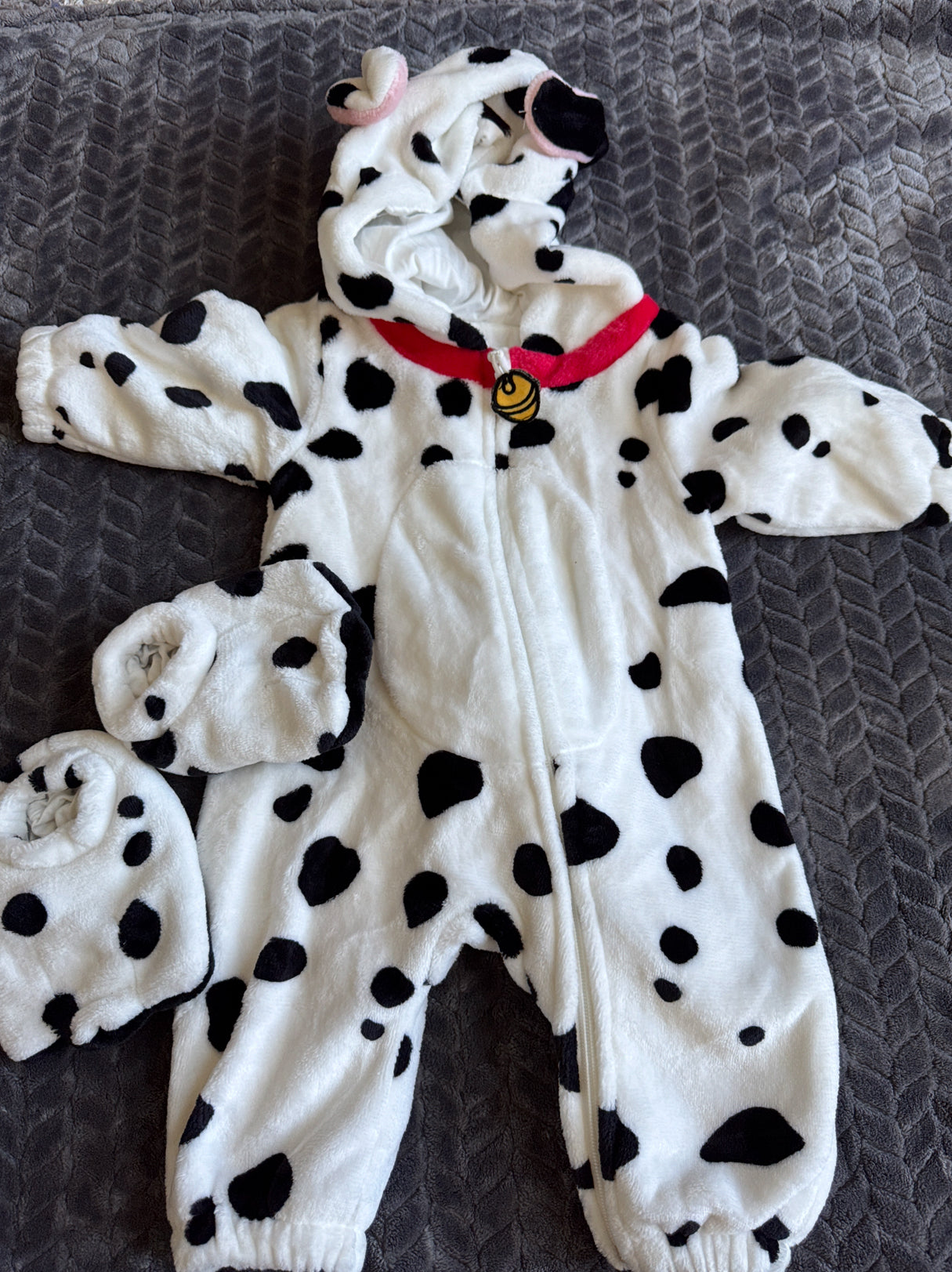 #74- dog costume 6/9 months
