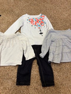 #47 girls 12mo shirts and pant