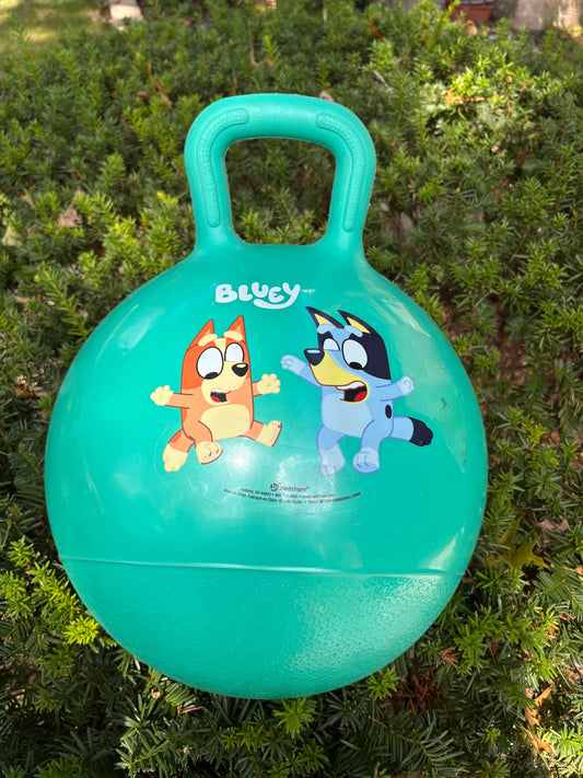 Seller #177 Bluey Bouncy Ball (2 of 2)