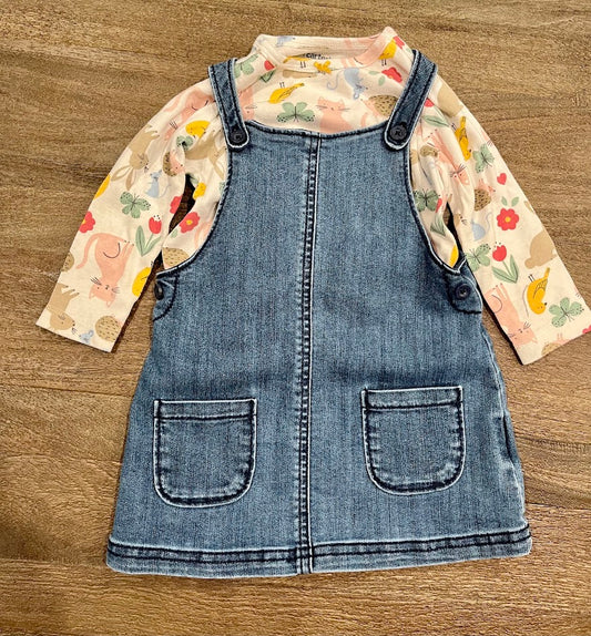 Seller #55 Carters 12 Month Girls Jean jumper dress with spring long-sleeve shirt