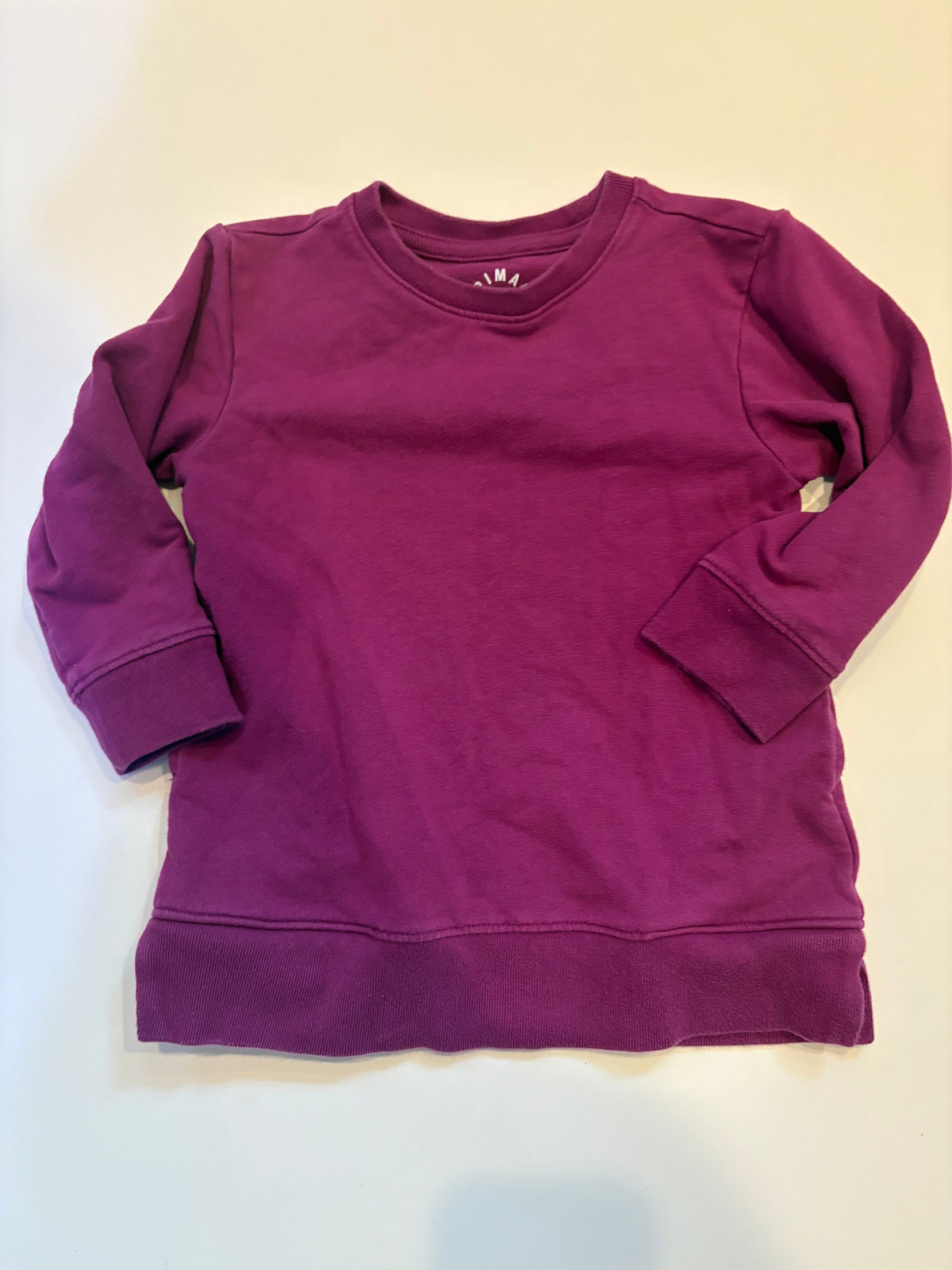 Seller 186 - Primary Girls Purple Sweatshirt - Size 4 - VGUC