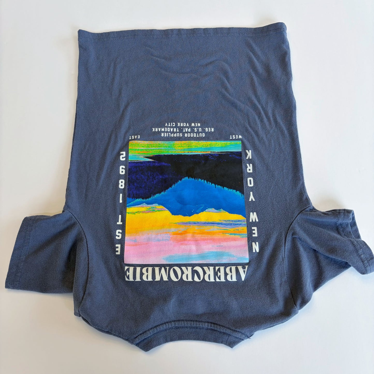 #79 | Size 7/8 | Abercrombie Boys Sunset T Shirt