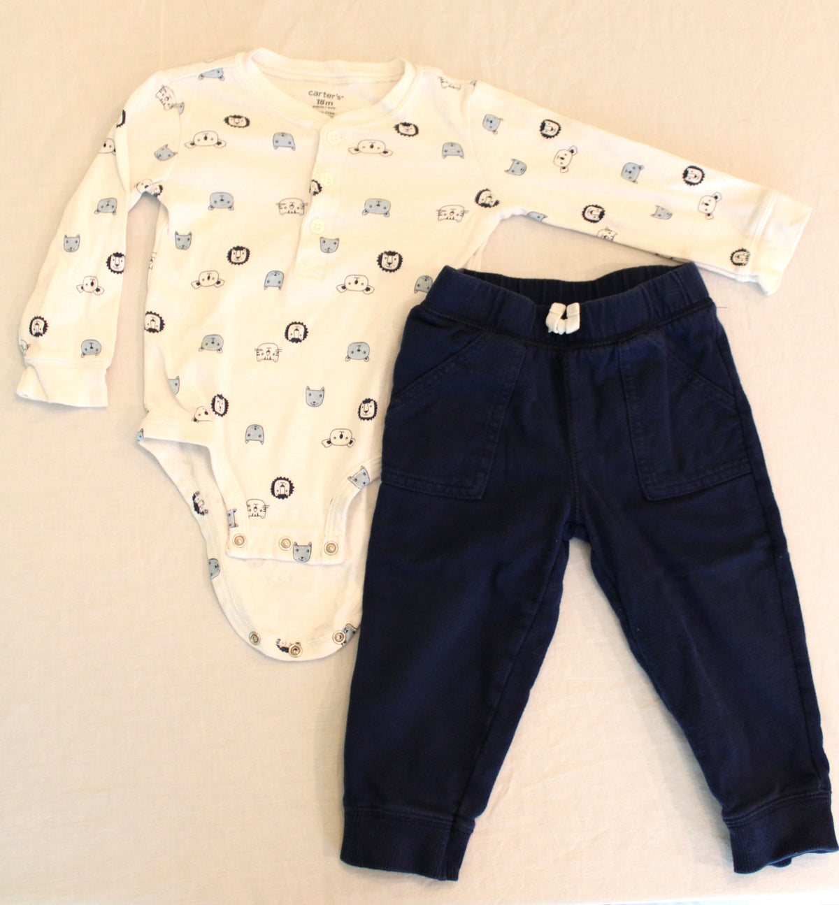 #168 18m Boys Carter's outfit
