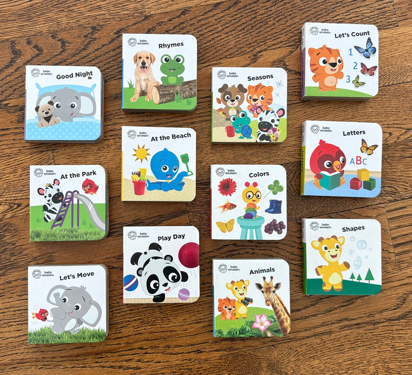 #103 • Baby Einstein • My First Library 12 Book Set