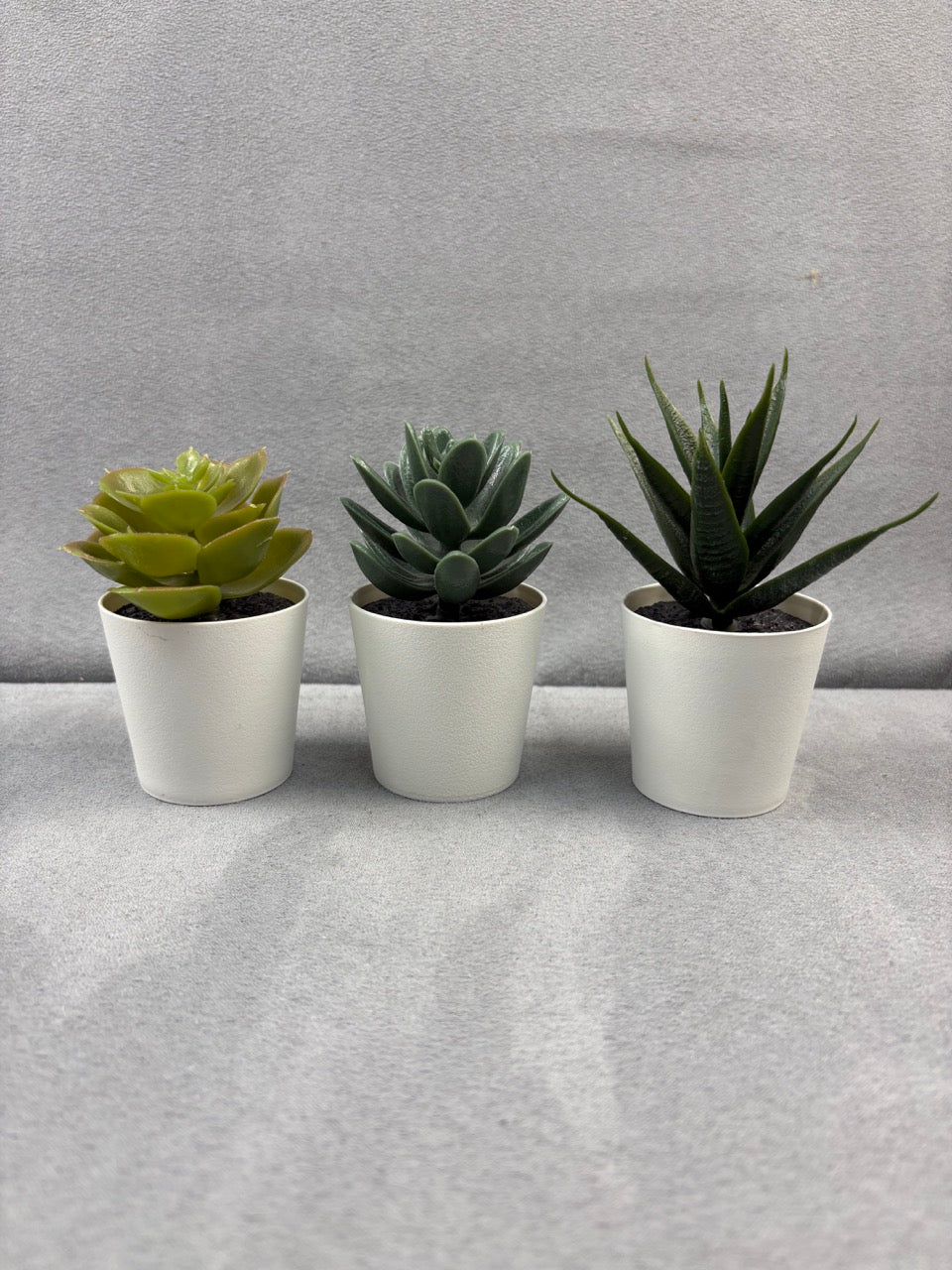 #39 IKEA small succulent set of 3