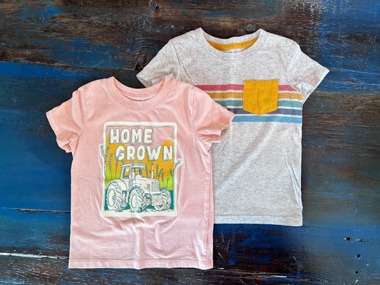 Seller #94: Set of 2 Cat and Jack T-Shirts, 2T