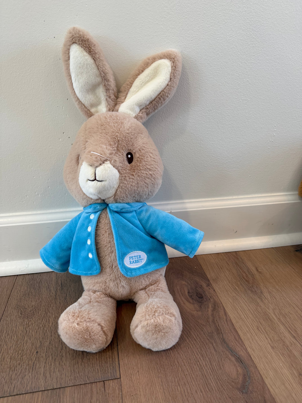 #21 • Peter Rabbit