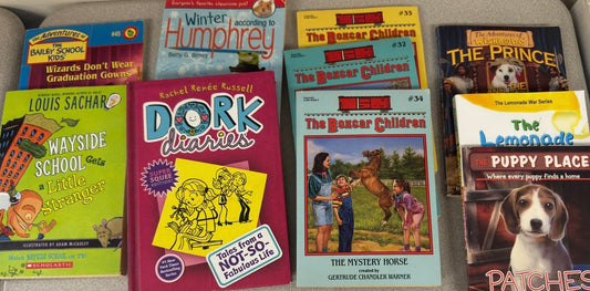 #74 chapter book bundle 2