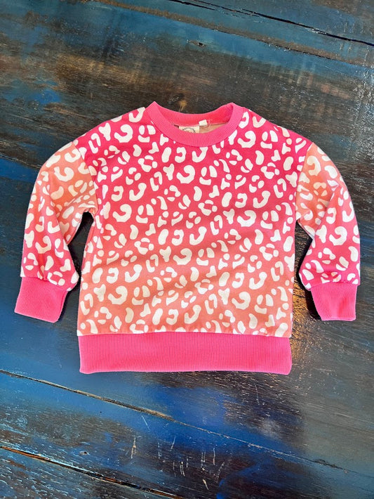 Seller #94: Girl's Pink Leopard Sweatshirt