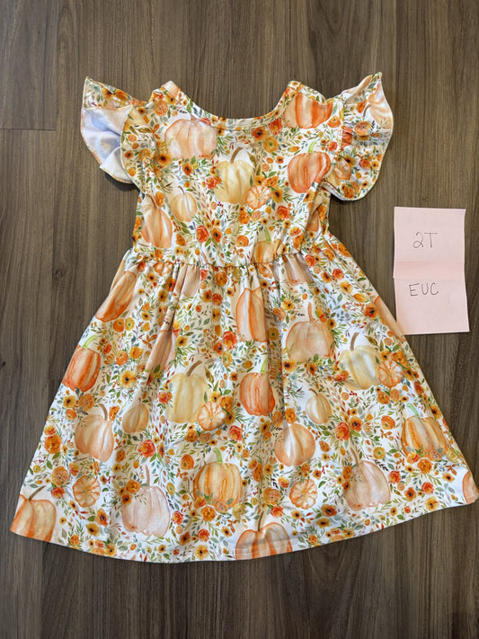 #138 - 2T Pumpkin Dress EUC