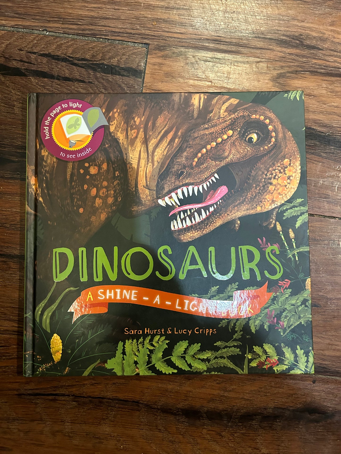 **REDUCED** Dinosaur Book