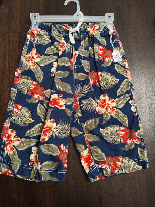 Seller #181 Hanna Andersson Board Style Shorts Size 150 (Boys Size 12)