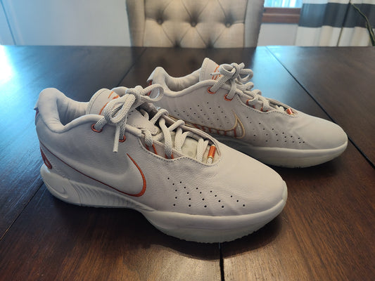 Seller 185: Men's Shoes Nike LeBron xx1 akoya Sz 9