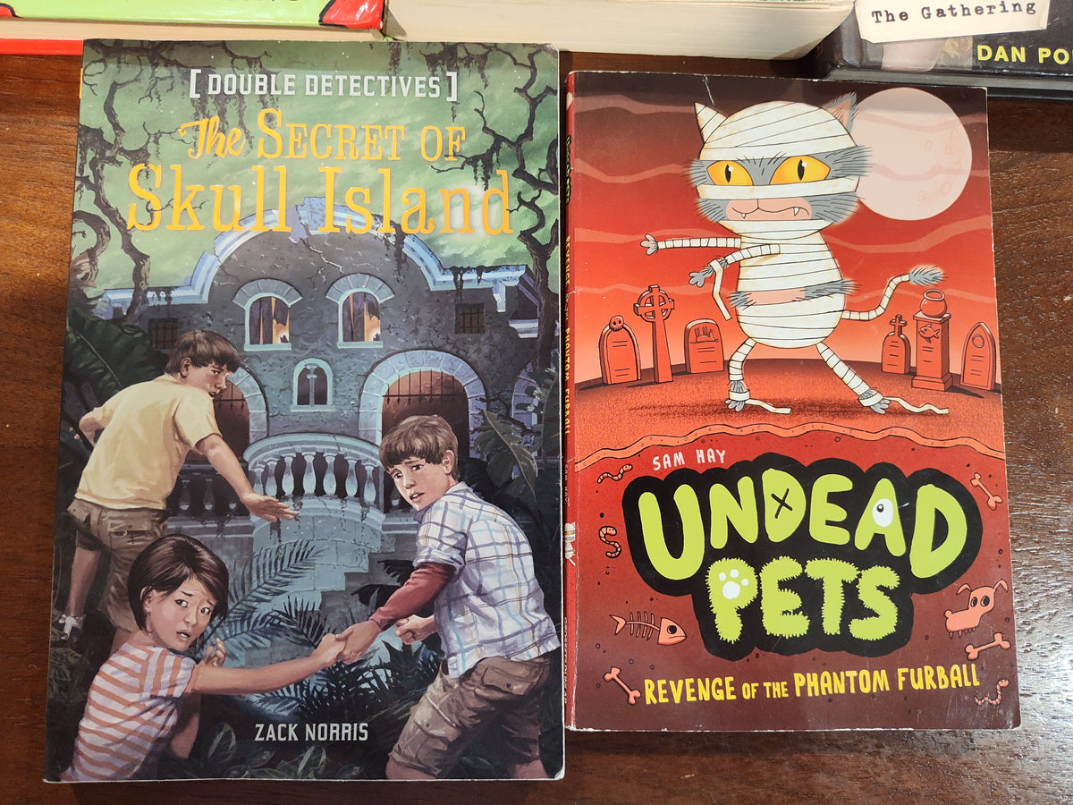 Seller 189:  Variety of easy scare chapter books (tween age)
