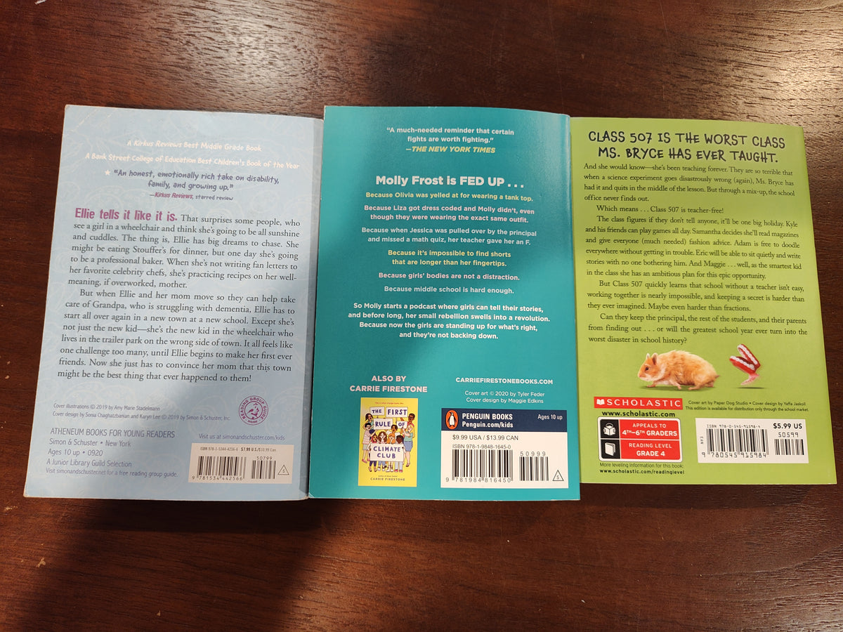 Seller 189:  Chapter Books x 3 (more girl themed)