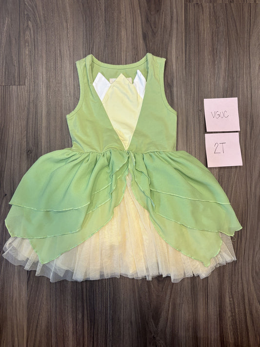 #77 - 2T - VGUC Taylor Joelle - Tiana Inspired Dress