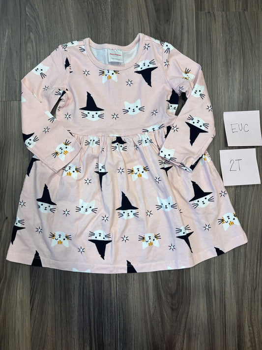 #138 - 2T EUC Hanna Andersson Witch Cat LS Dress