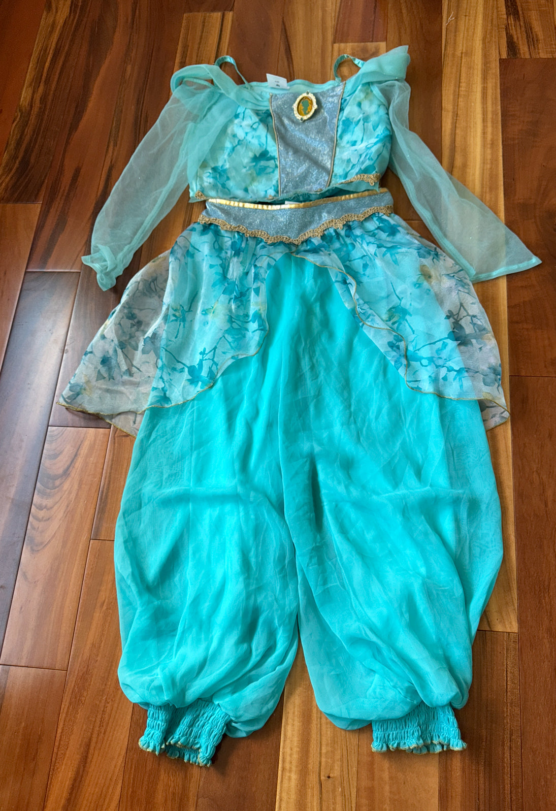 Costumes/Dress Up