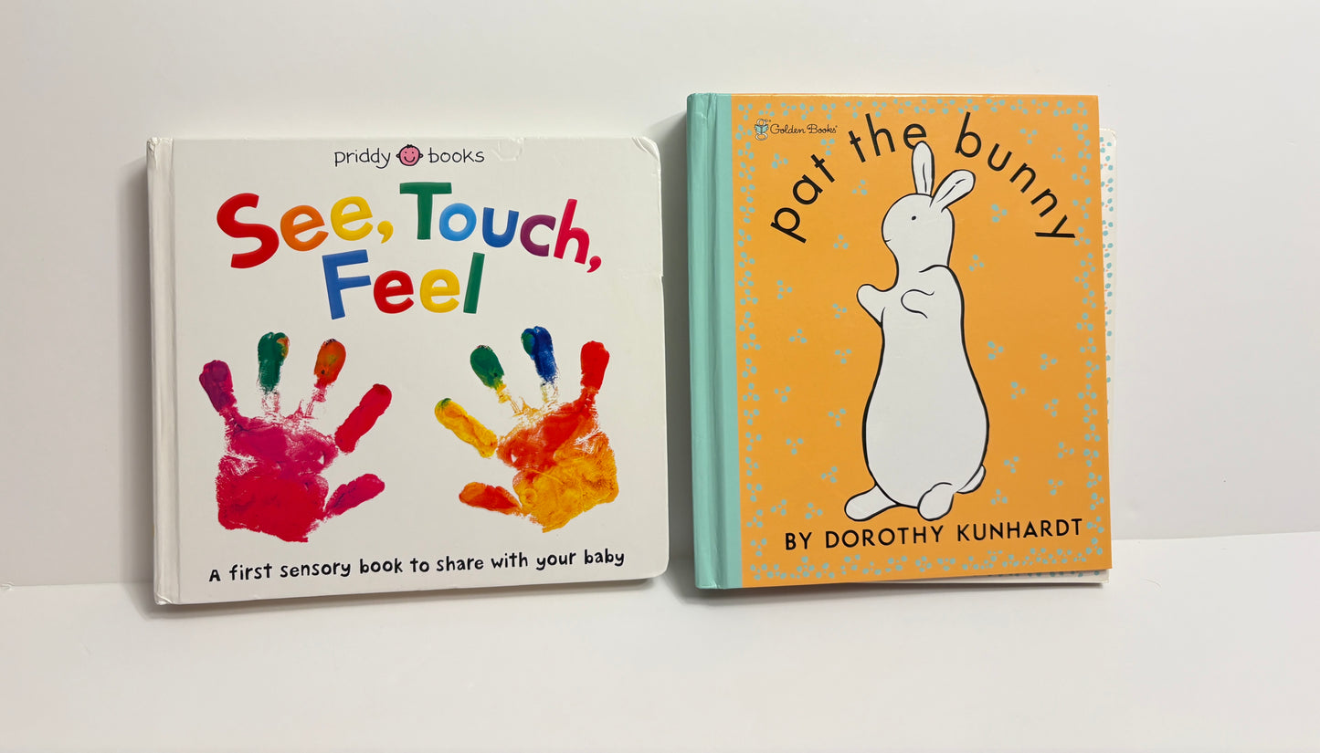 #121 set of two interactive board books, See Touch Feel and Deluxe Pat the Bunny, VGUC