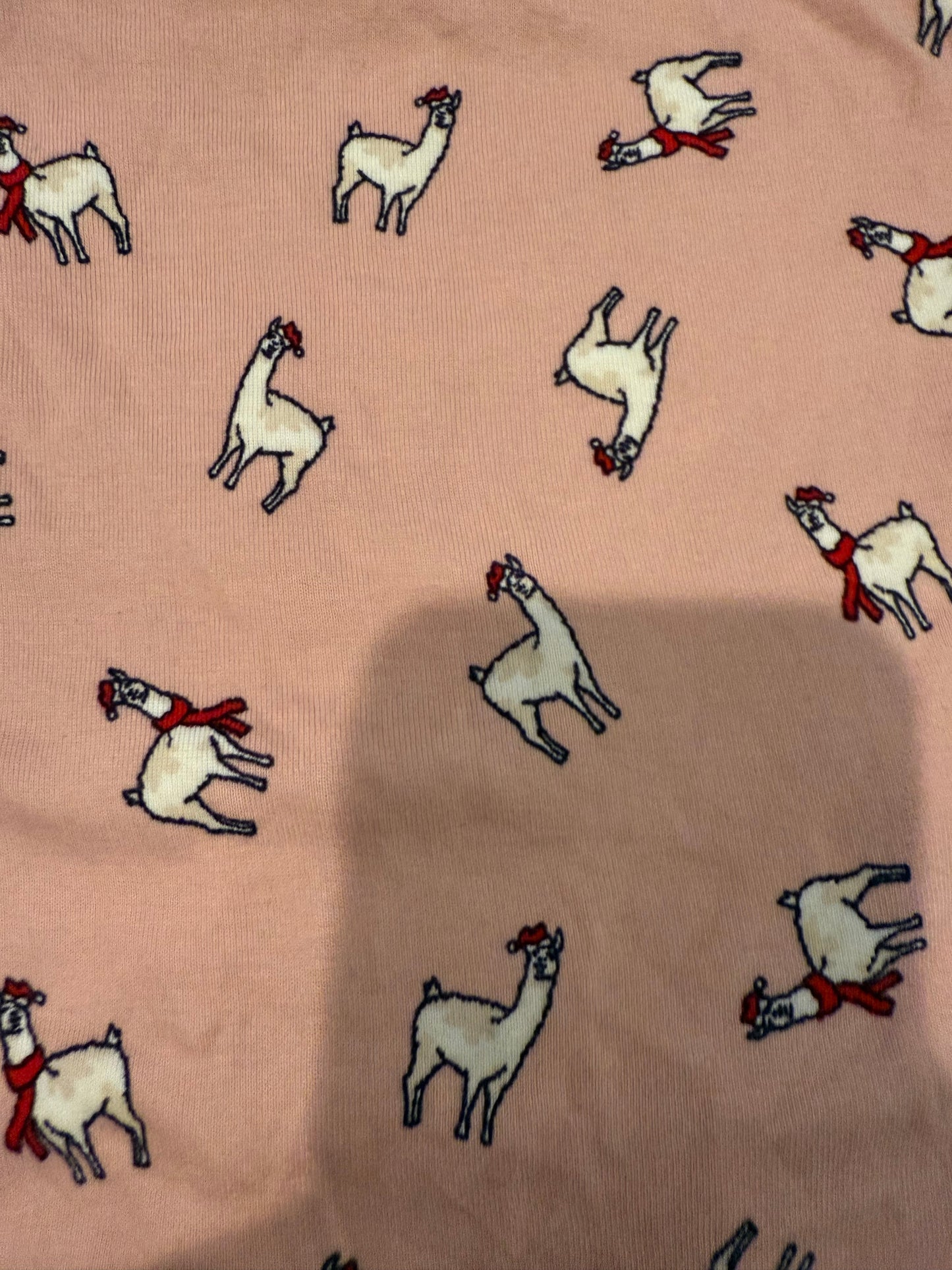 208 girls gap organic cotton pajamas size 12 - REDUCED